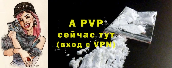 СК Белокуриха