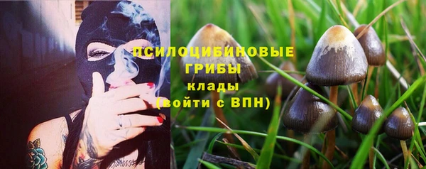 хмурый Белоозёрский