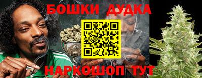ешки Будённовск
