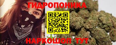 ешки Будённовск