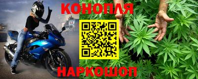 ешки Будённовск
