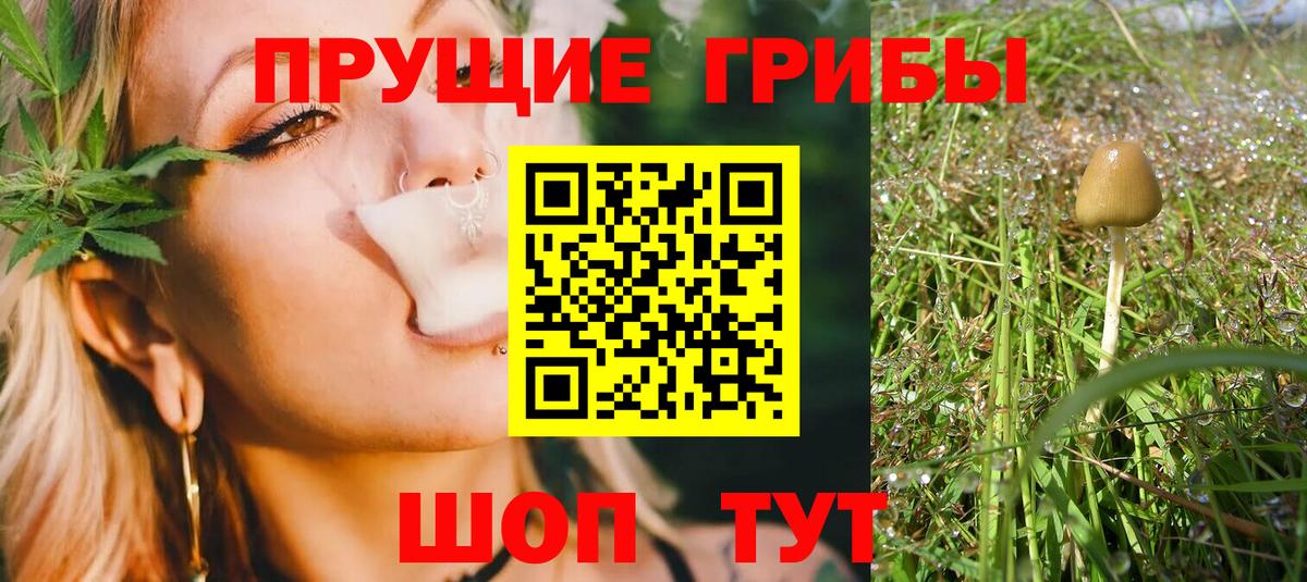 Псилоцибиновые грибы Cubensis  Вход с VPN  Великие Луки 