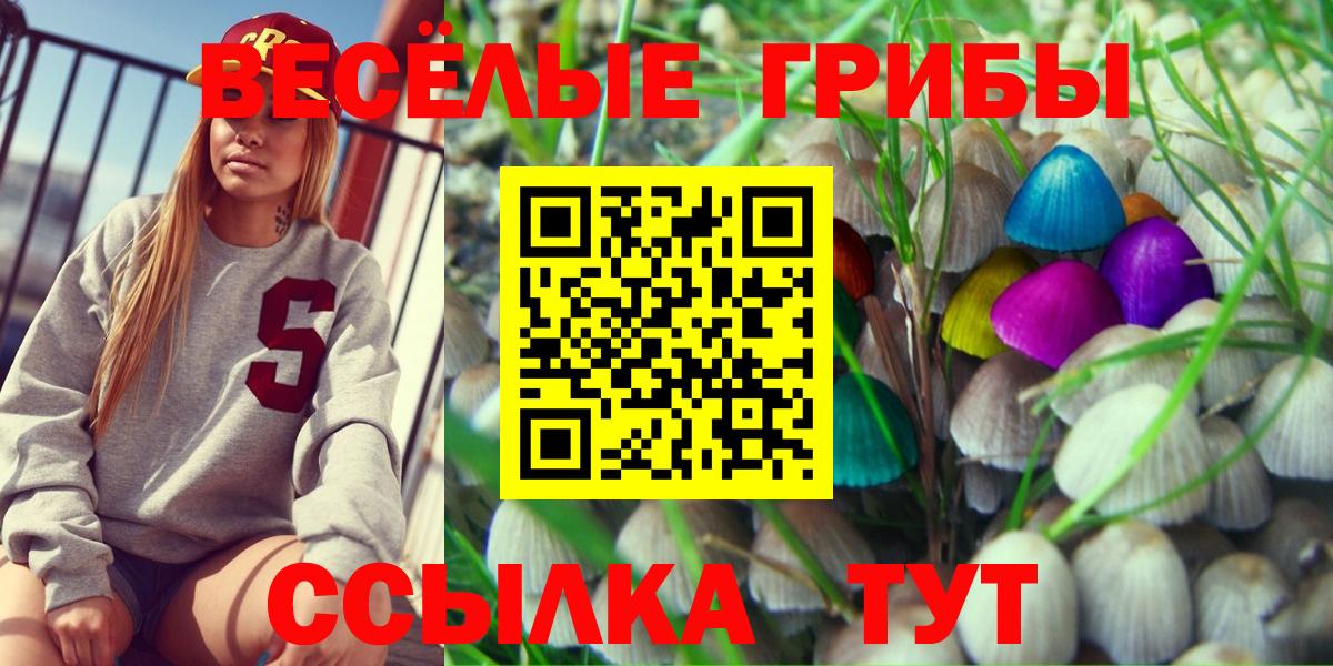 Псилоцибиновые грибы прущие грибы Великие Луки