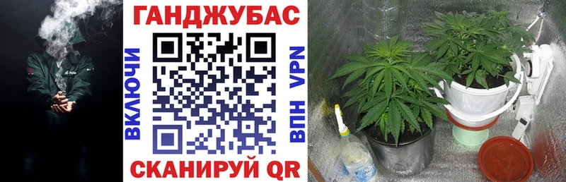 купить наркоту  Великие Луки  Бошки Шишки THC 21% 